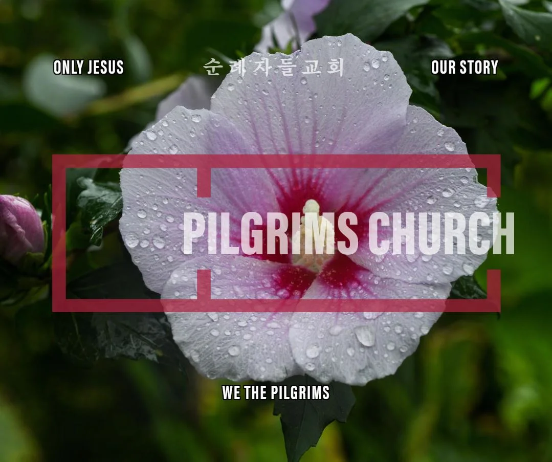 Pilgrims Church: A Journey in Pictures 2