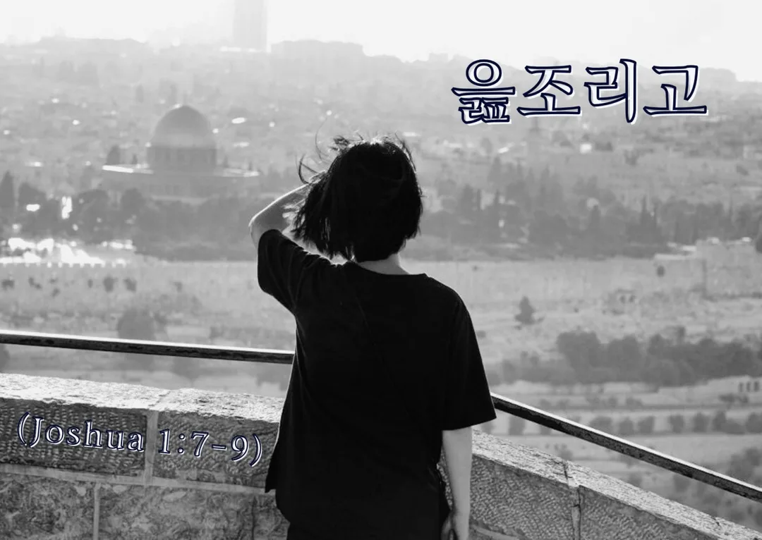 첨부 이미지