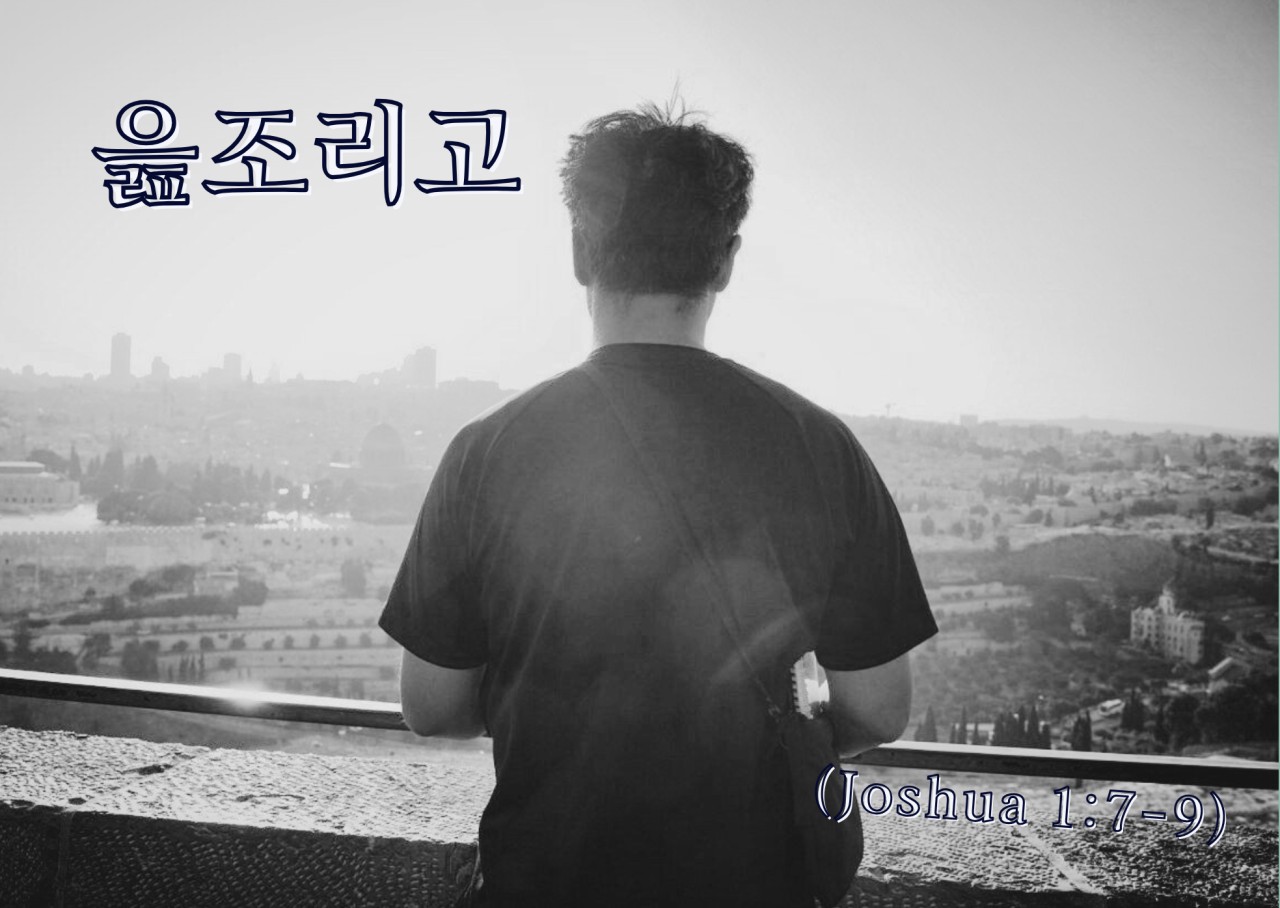 첨부 이미지